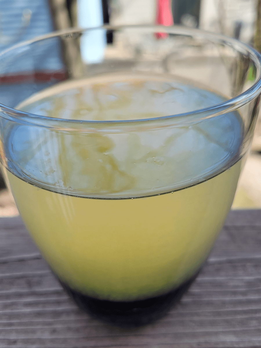 Homemade Lemonade